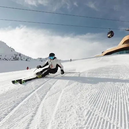 Denggnhof Farma Münster