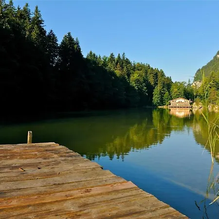 Denggnhof Farma Münster