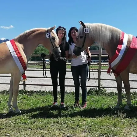 Denggnhof * Münster