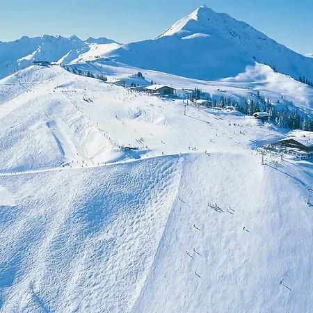 Denggnhof * Münster