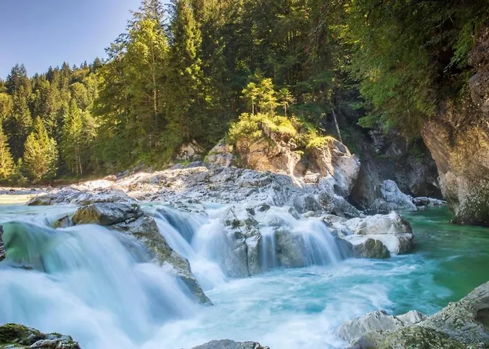 Denggnhof مونستر