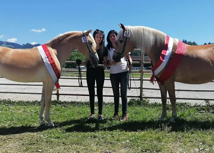 Denggnhof * مونستر