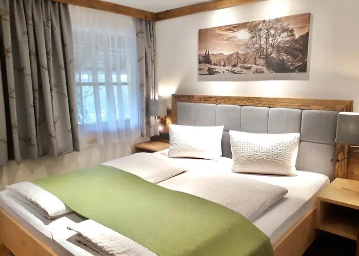 Denggnhof مونستر